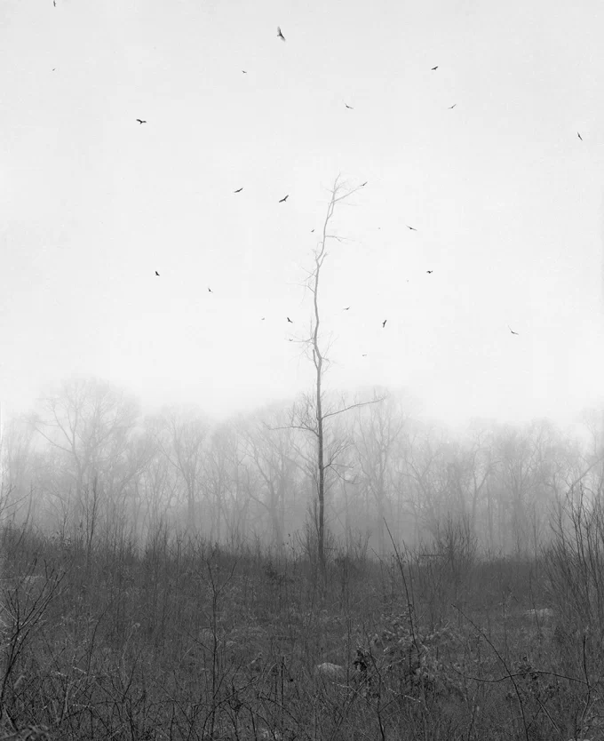 Sleep Creek - Dylan Hausthor & Pia Paulina Guilmoth - Image 6