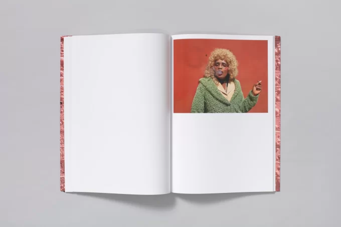 Californian Wildflowers - Pieter Hugo - Image 9