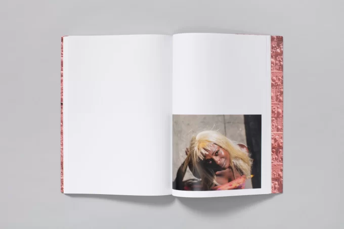 Californian Wildflowers - Pieter Hugo - Image 11