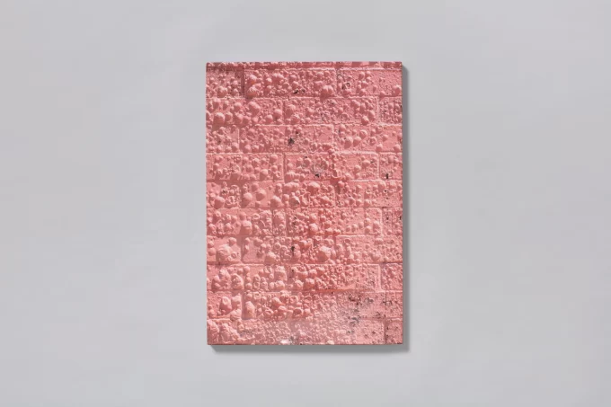 Californian Wildflowers - Pieter Hugo - Image 12