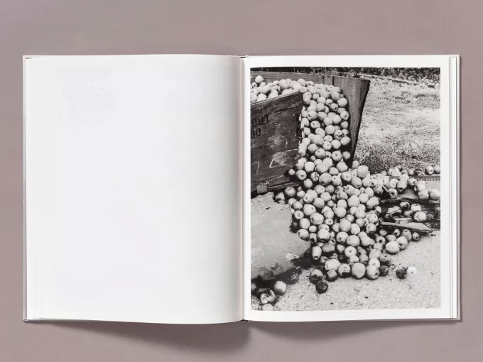 The weight of Ash - Ian Bates - Image 6