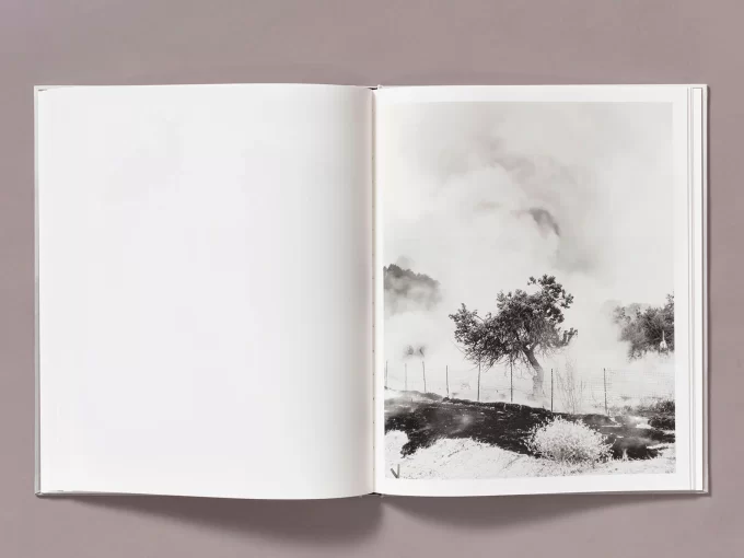The weight of Ash - Ian Bates - Image 7