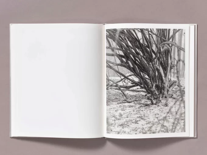 The weight of Ash - Ian Bates - Image 11