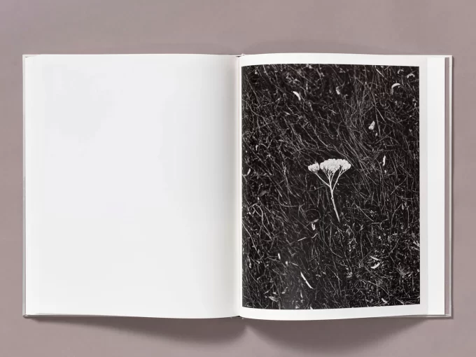 The weight of Ash - Ian Bates - Image 12