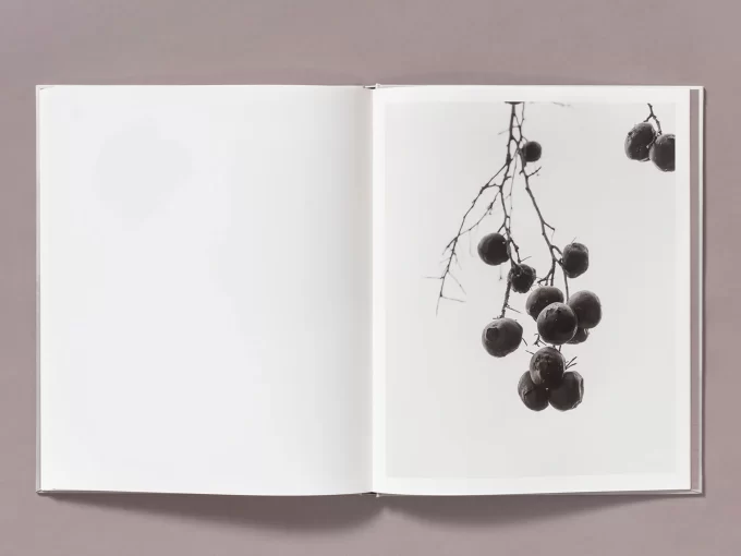 The weight of Ash - Ian Bates - Image 13