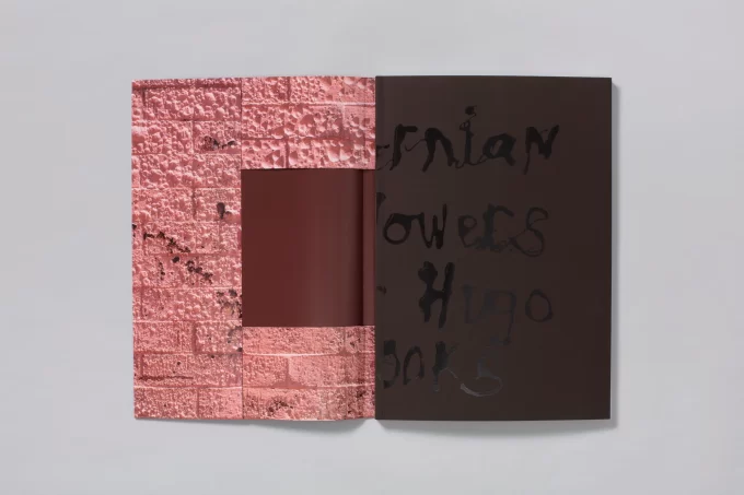 Californian Wildflowers - Pieter Hugo - Image 2