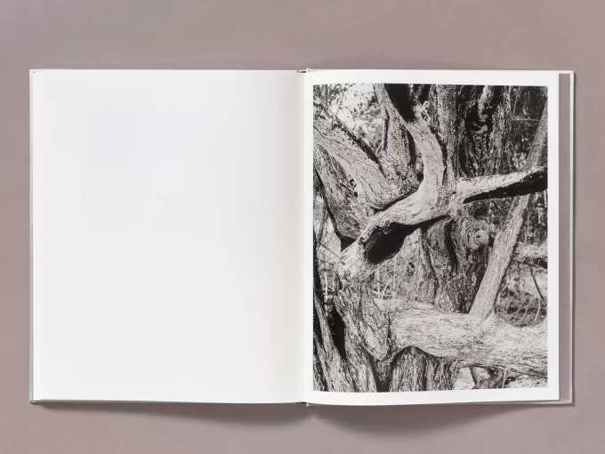 The weight of Ash - Ian Bates - Image 14