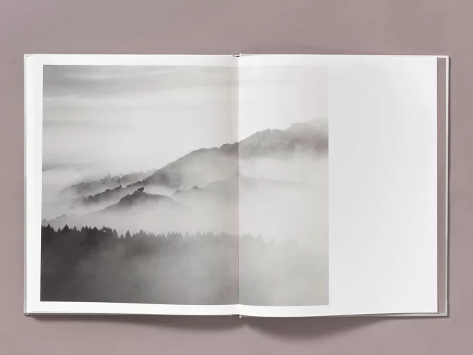 The weight of Ash - Ian Bates - Image 15