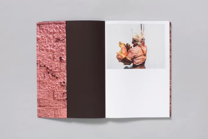 Californian Wildflowers - Pieter Hugo - Image 3