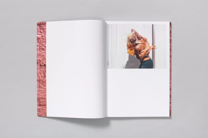 Californian Wildflowers - Pieter Hugo - Image 4