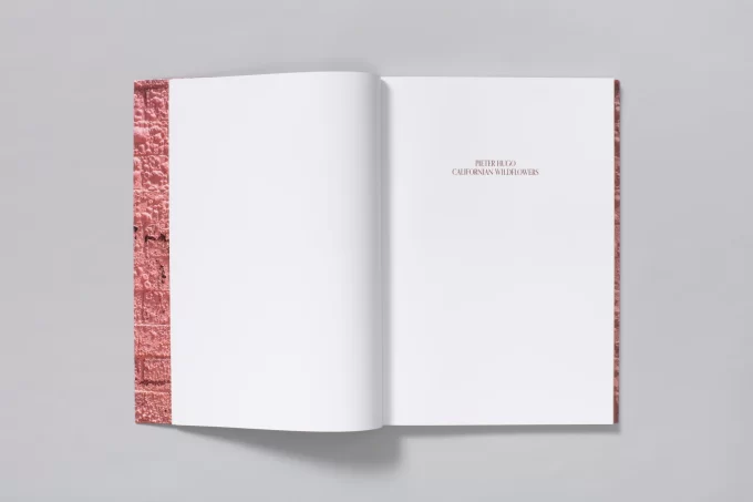 Californian Wildflowers - Pieter Hugo - Image 5