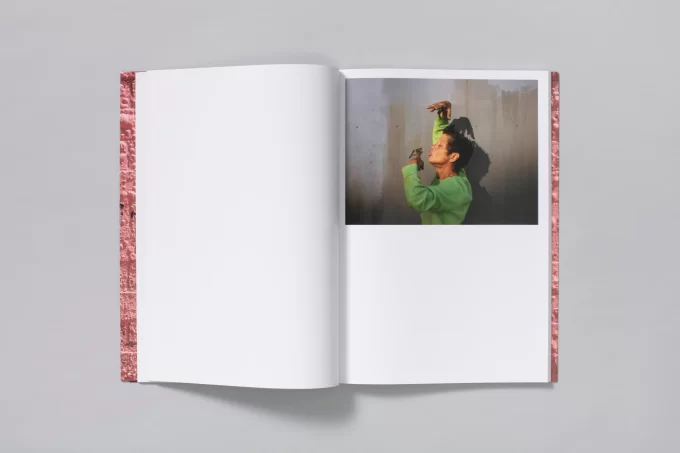 Californian Wildflowers - Pieter Hugo - Image 7