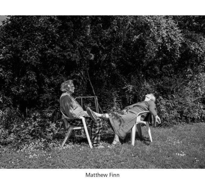 Pictures from the garden - Image 3