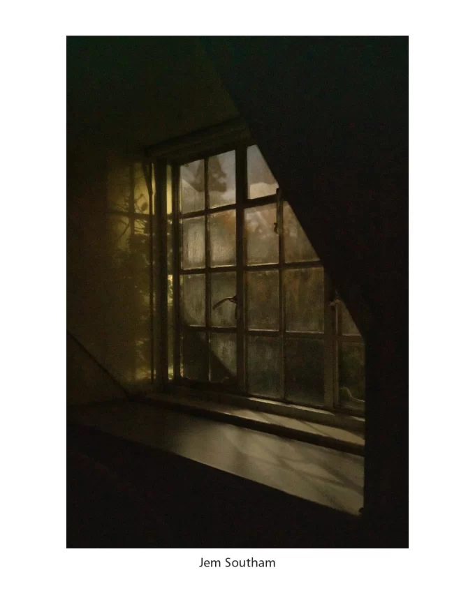 Pictures from the garden - Image 6