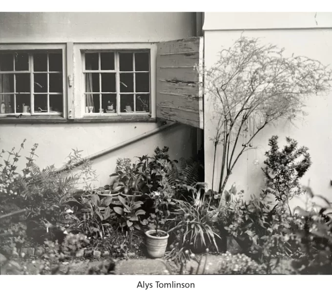 Pictures from the garden - Image 8