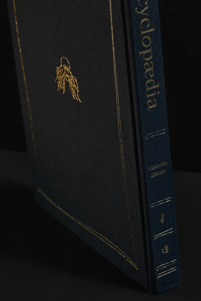 ENCYCLOPAEDIA - Weronika Gęsicka - Image 3