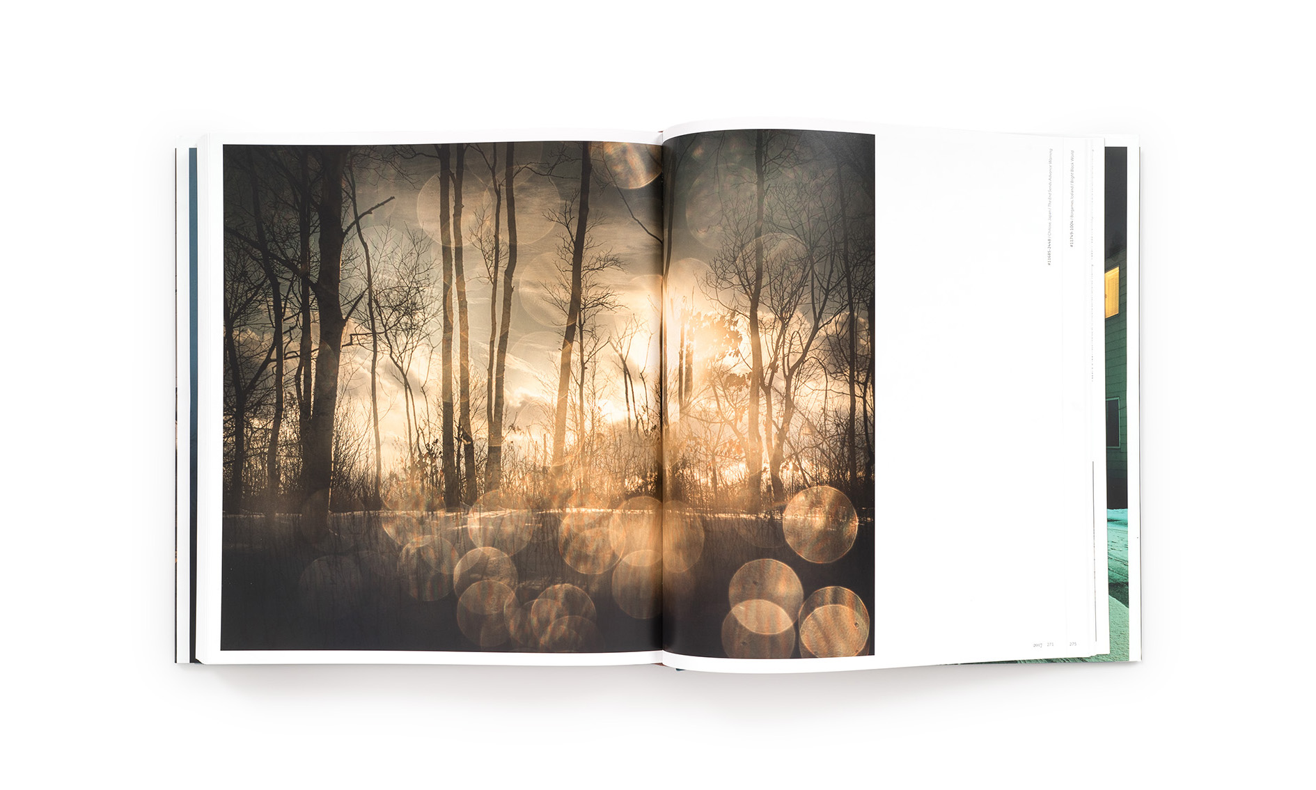 Todd Hido: Intimate Distance (Revised and Expanded Edition) - Image 7