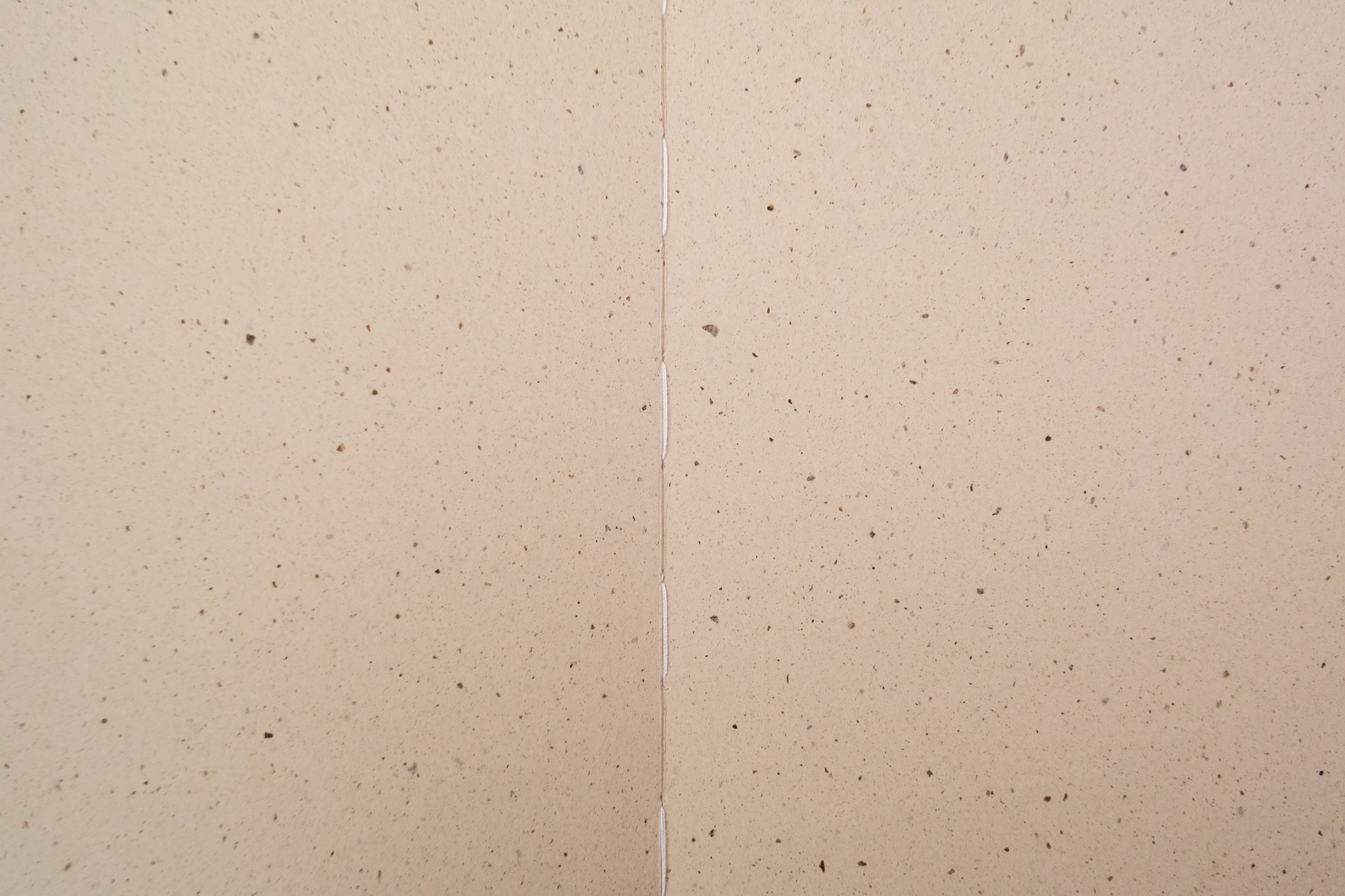 The Infinite Tree - Ron Dirven - Image 24