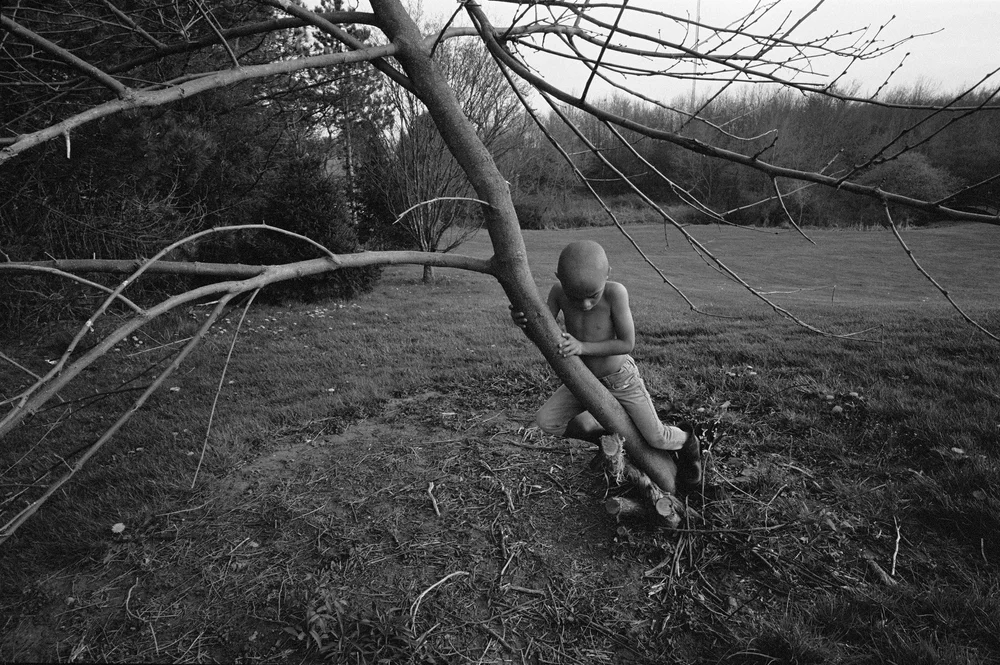 The Seraphim - Jesse Lenz - Image 2