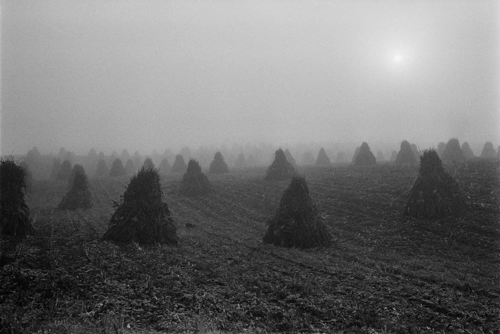 The Seraphim - Jesse Lenz - Image 8