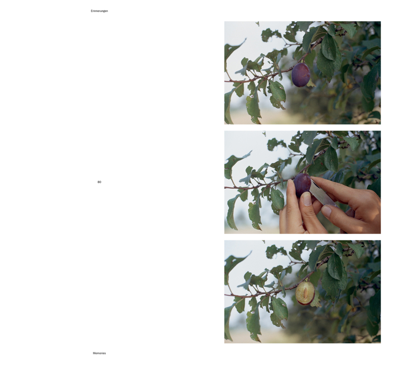 Helmut Schweizer: Handlungen / Actions - Steffen Siegel - Image 4