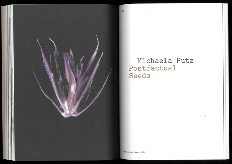 Seeds Reclaiming Roots, Sowing Futures - Sophie Haslinger / KunstHaus Wien - Image 5