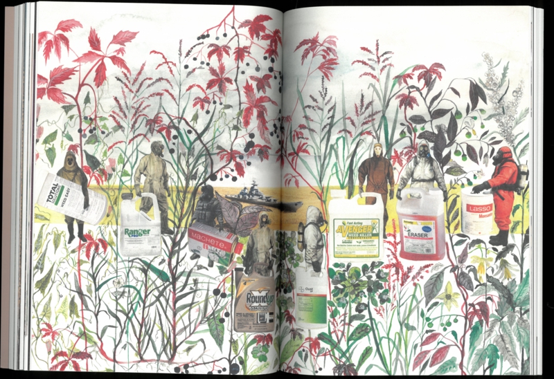 Seeds Reclaiming Roots, Sowing Futures - Sophie Haslinger / KunstHaus Wien - Image 2