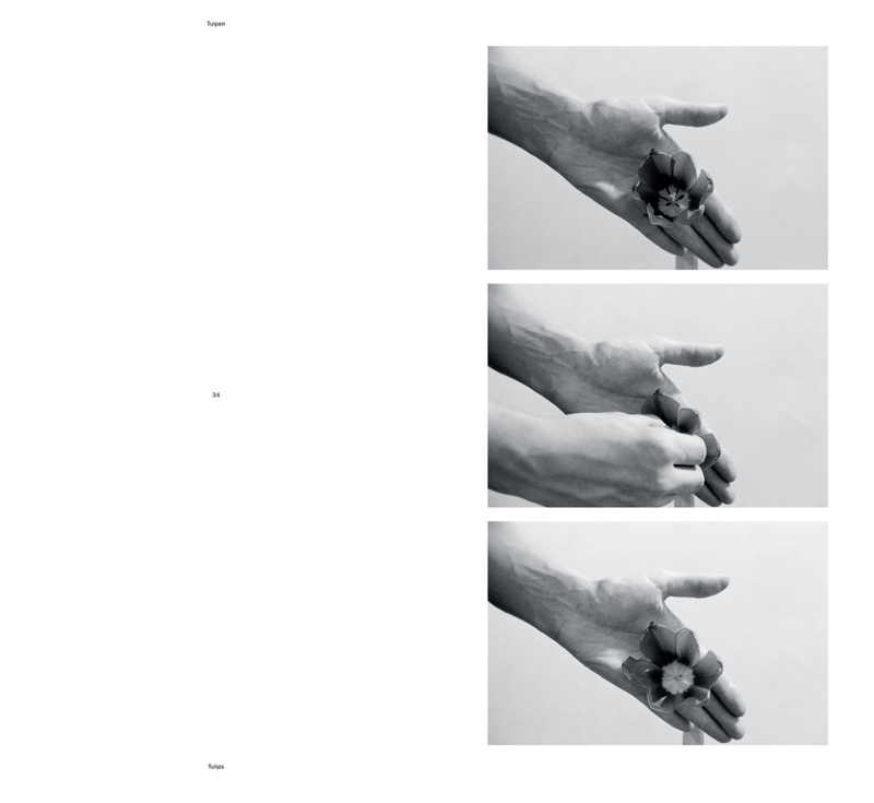 Helmut Schweizer: Handlungen / Actions - Steffen Siegel - Image 6