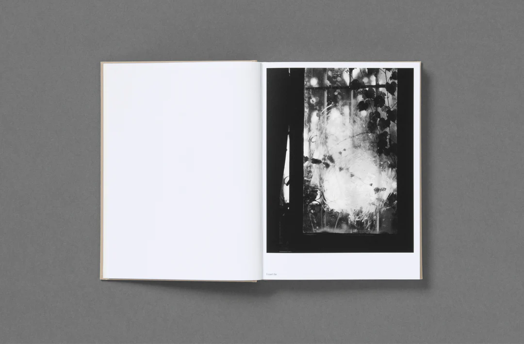 Wet Ground - Aria Shahrokhshahi - Image 32