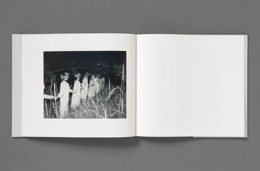 Wet Ground - Aria Shahrokhshahi - Image 68