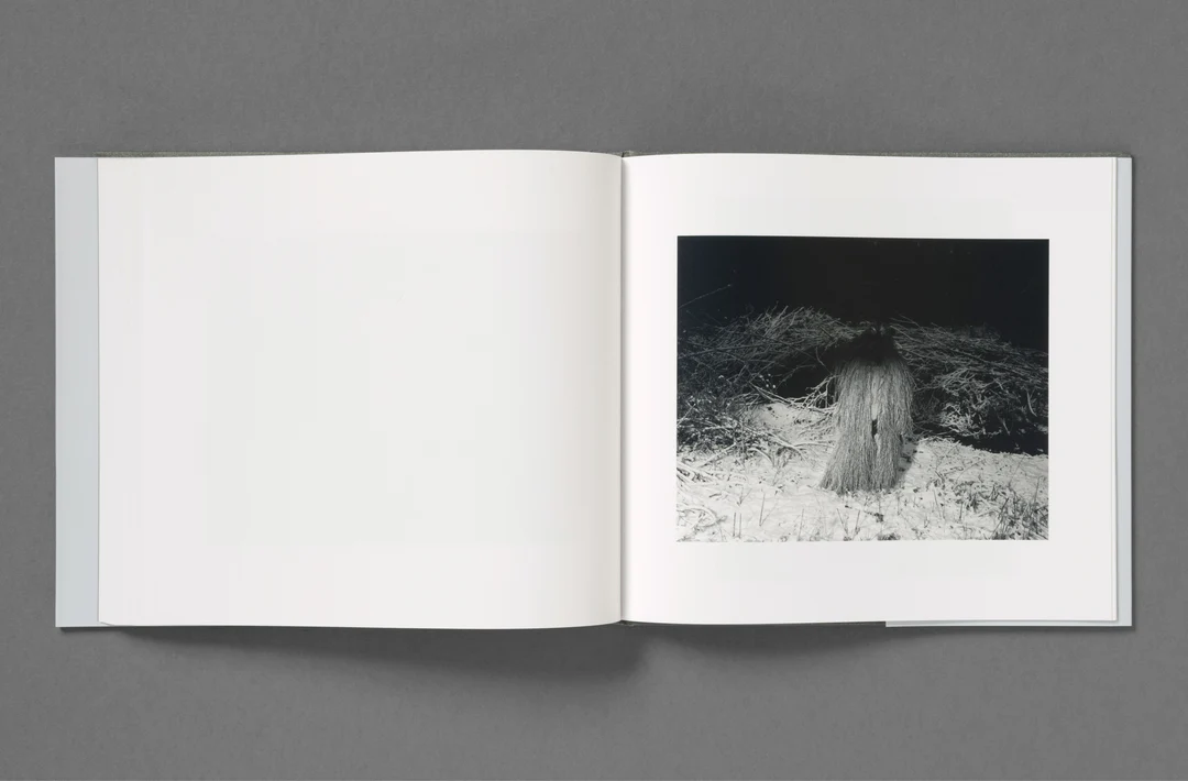 Wet Ground - Aria Shahrokhshahi - Image 69