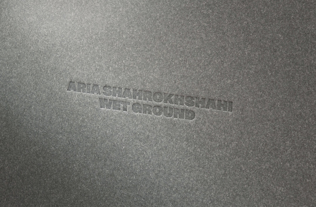 Wet Ground - Aria Shahrokhshahi - Image 41