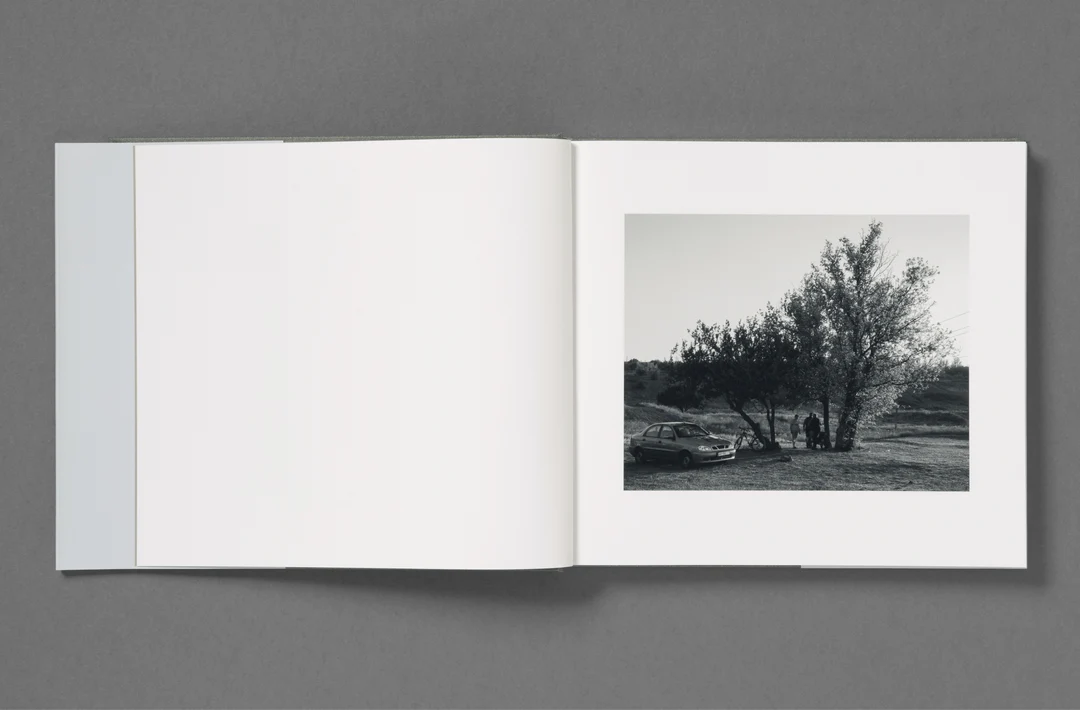 Wet Ground - Aria Shahrokhshahi - Image 44