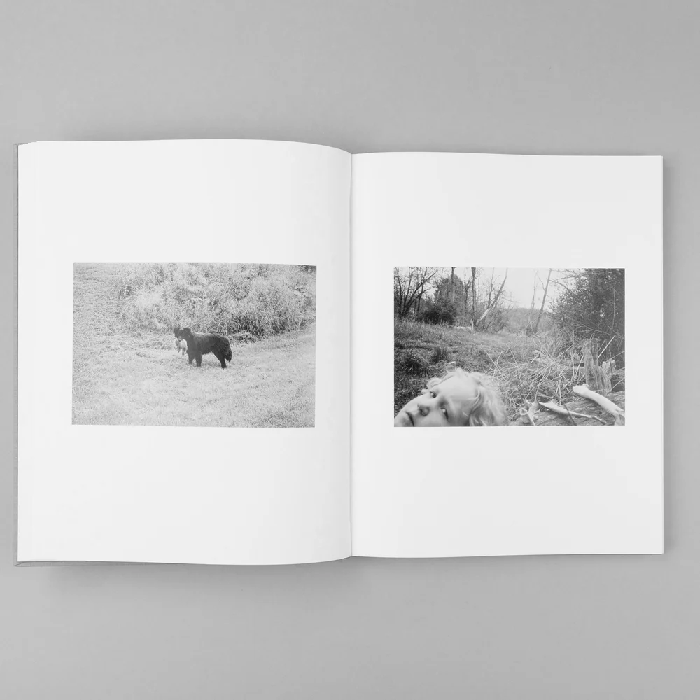 The Seraphim - Jesse Lenz - Image 10