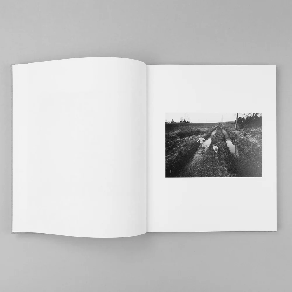 The Seraphim - Jesse Lenz - Image 11