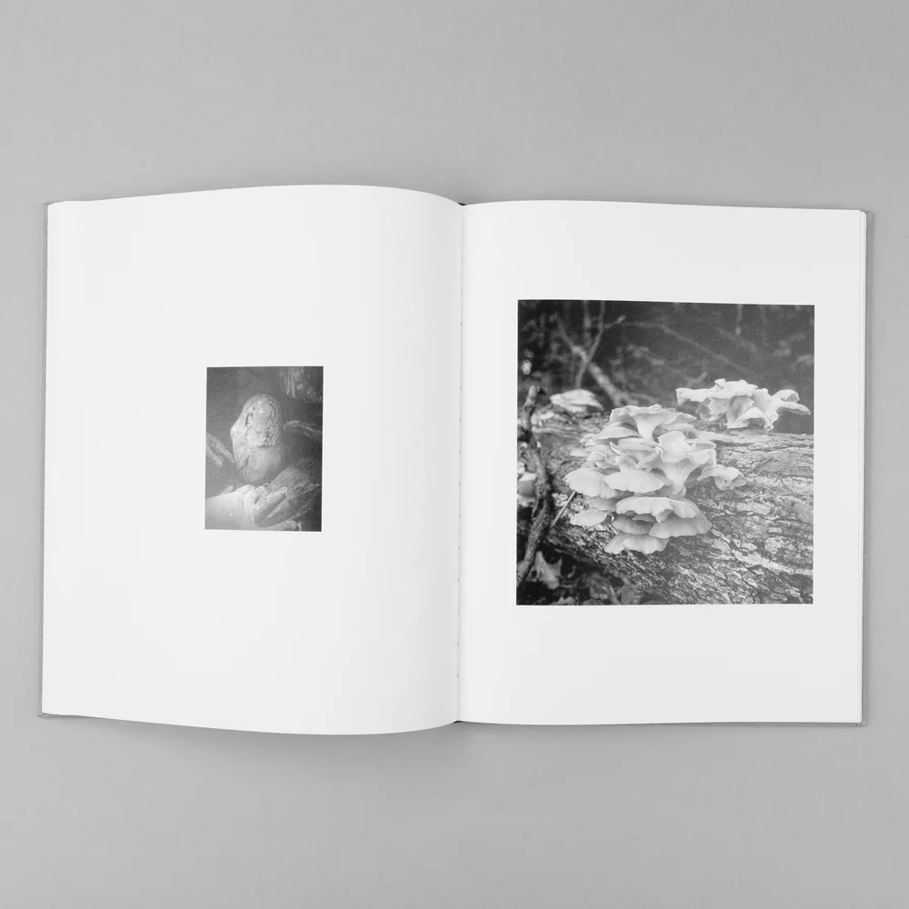 The Seraphim - Jesse Lenz - Image 12