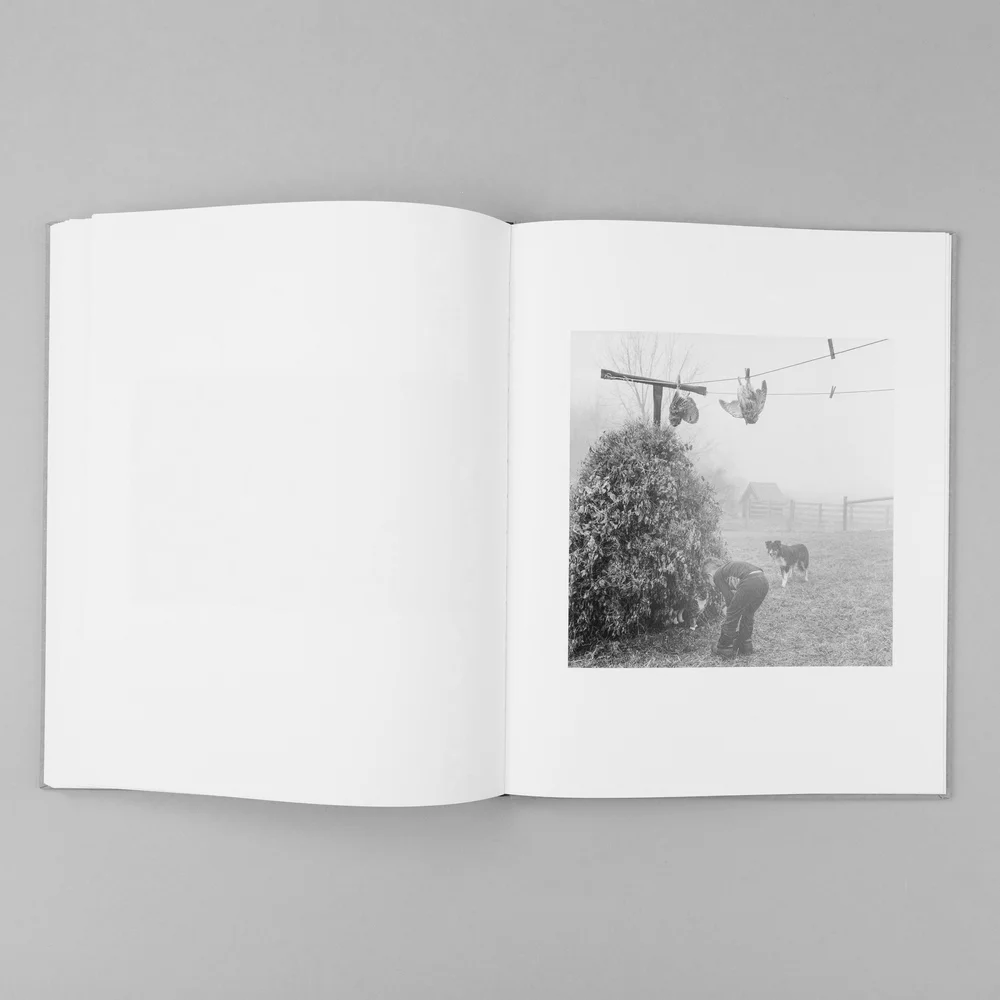 The Seraphim - Jesse Lenz - Image 13