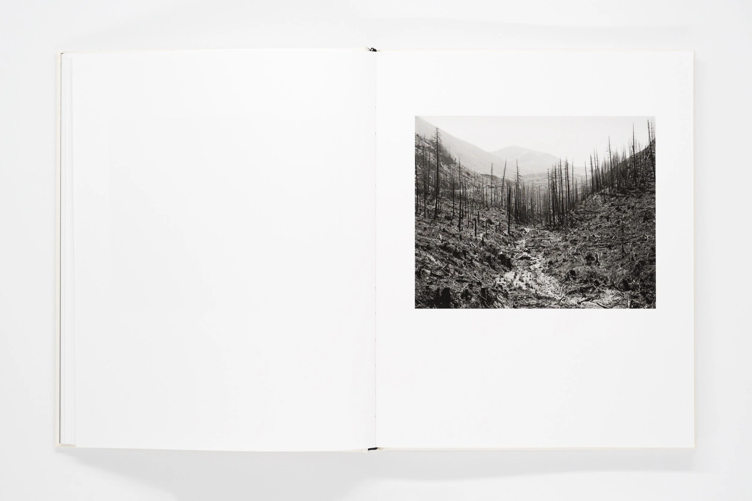Landfall - Mimi Plumb - Image 4