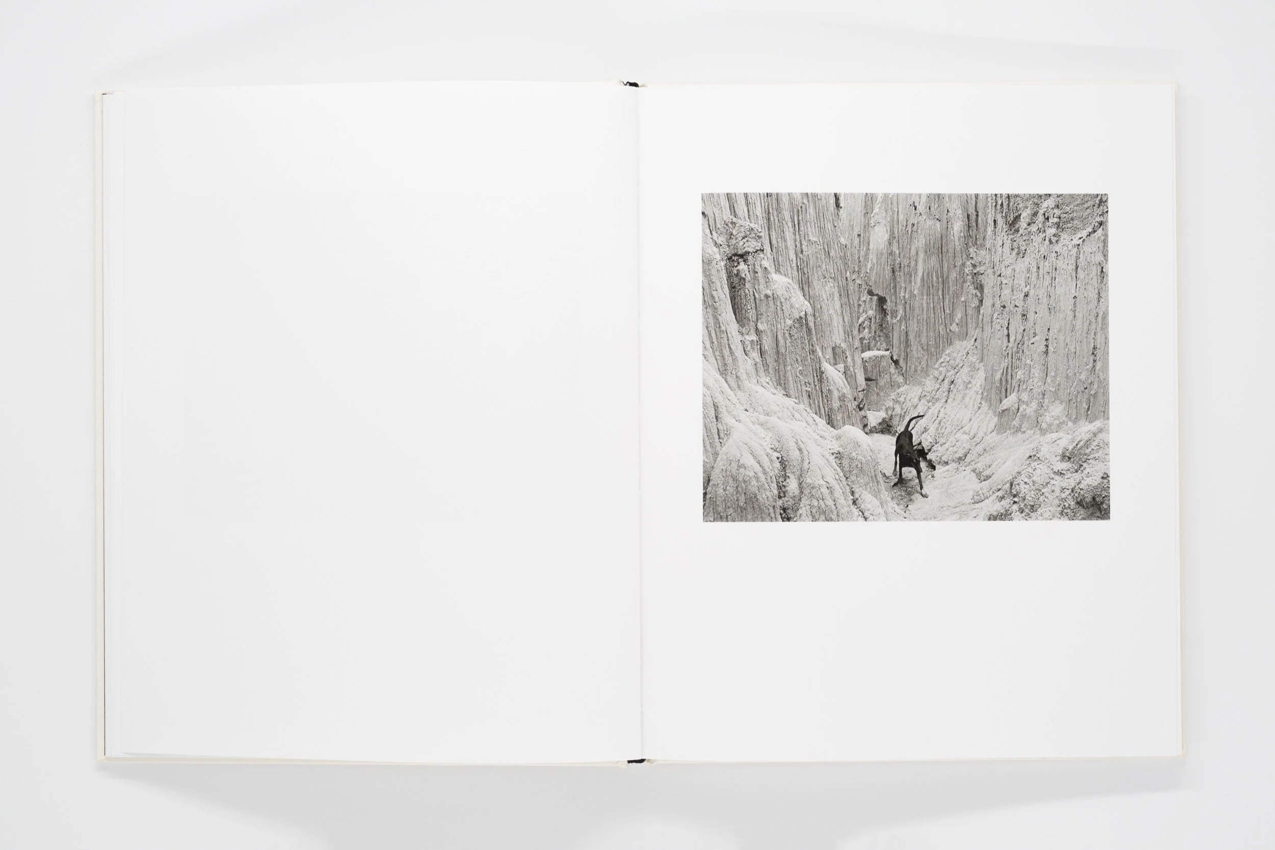 Landfall - Mimi Plumb - Image 5