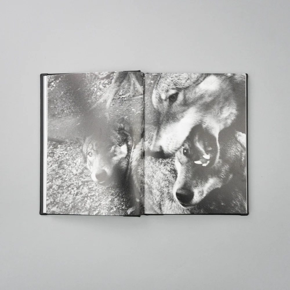 Vanishing - Anna Arendt - Image 12