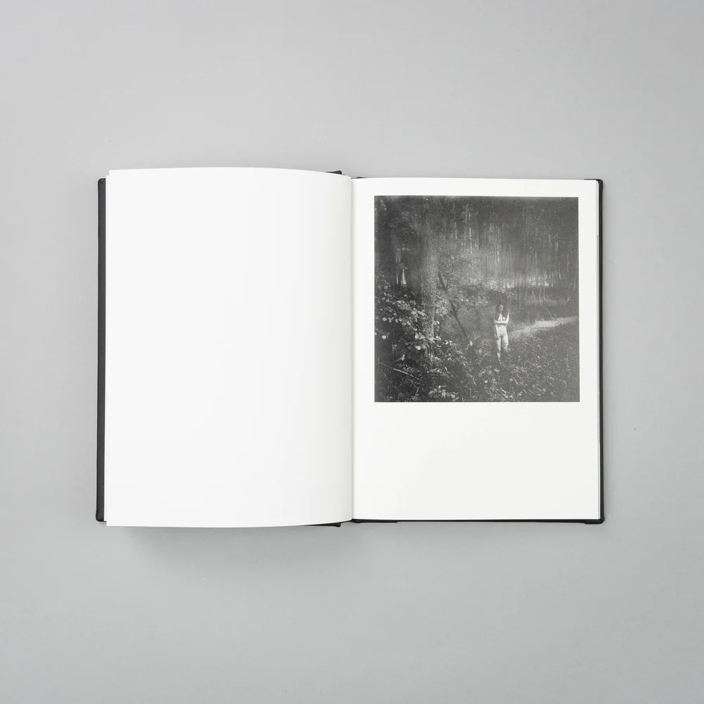 Vanishing - Anna Arendt - Image 13