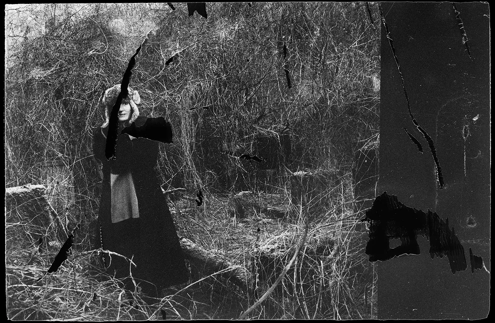 Vanishing - Anna Arendt - Image 6