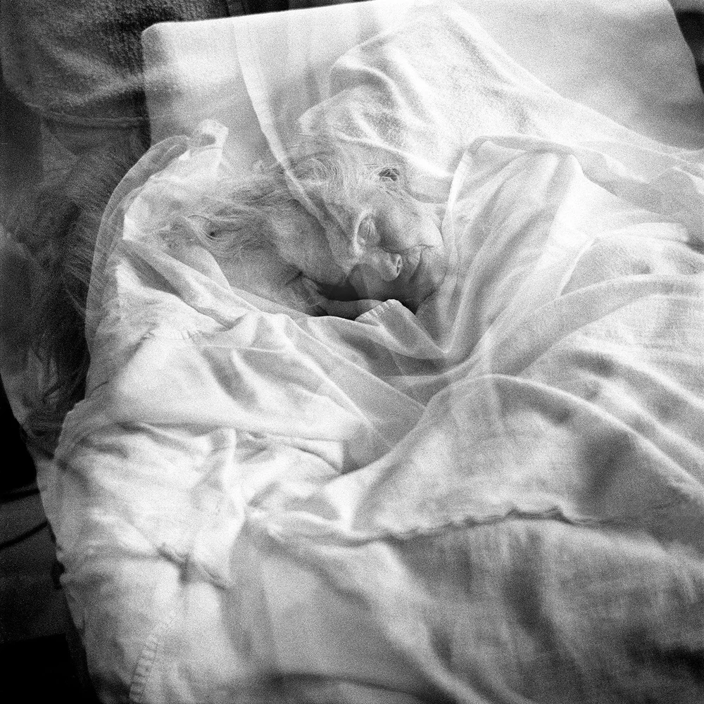 Vanishing - Anna Arendt - Image 10
