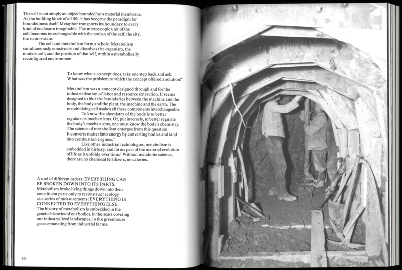 Alina Schmuch: Mouth of the Waterway - Image 6