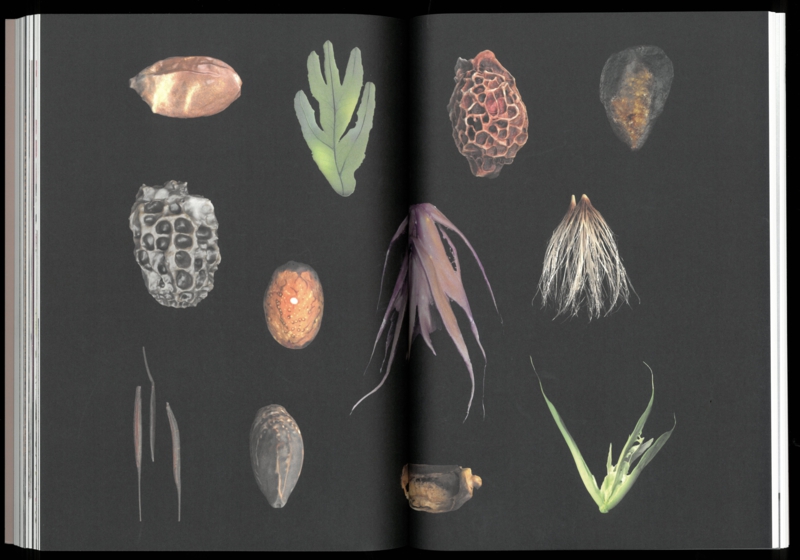 Seeds Reclaiming Roots, Sowing Futures - Sophie Haslinger / KunstHaus Wien - Image 9