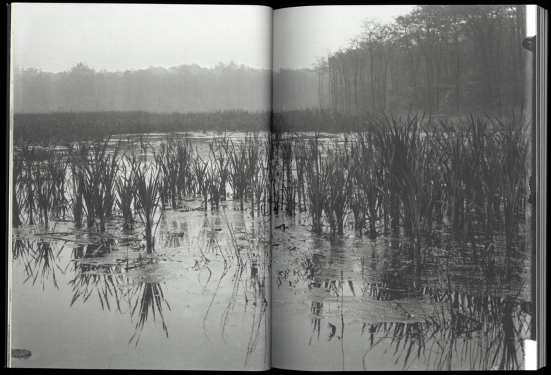 Alina Schmuch: Mouth of the Waterway - Image 9