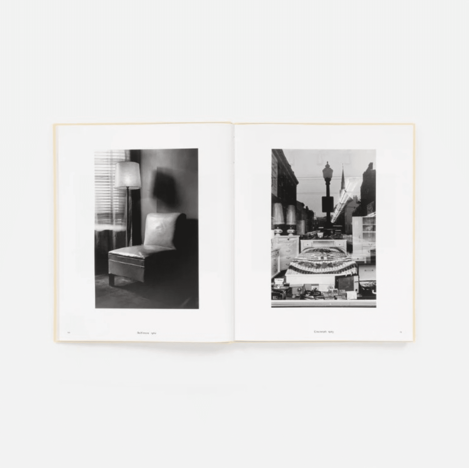 Life Still - Lee Friedlander - Image 2
