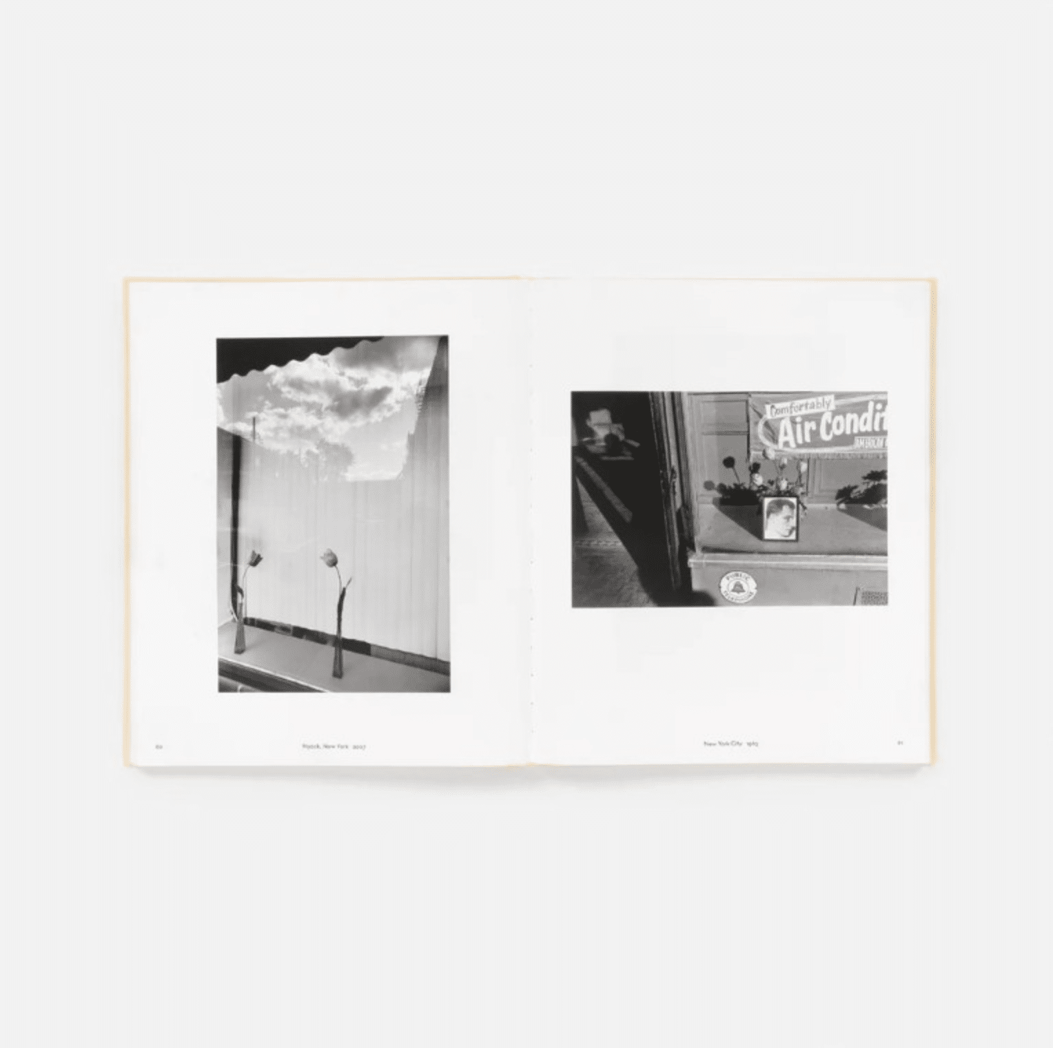 Life Still - Lee Friedlander - Image 3