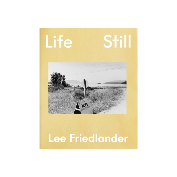 Life Still - Lee Friedlander