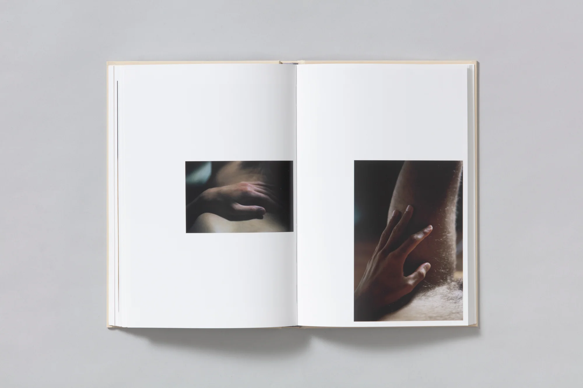 A Season Particular - Shen Wei - Image 10